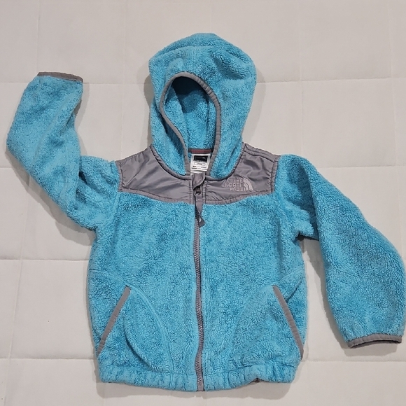 The North Face Other - The North Face Kids Blue Fleece Hoodie Jacket Coat